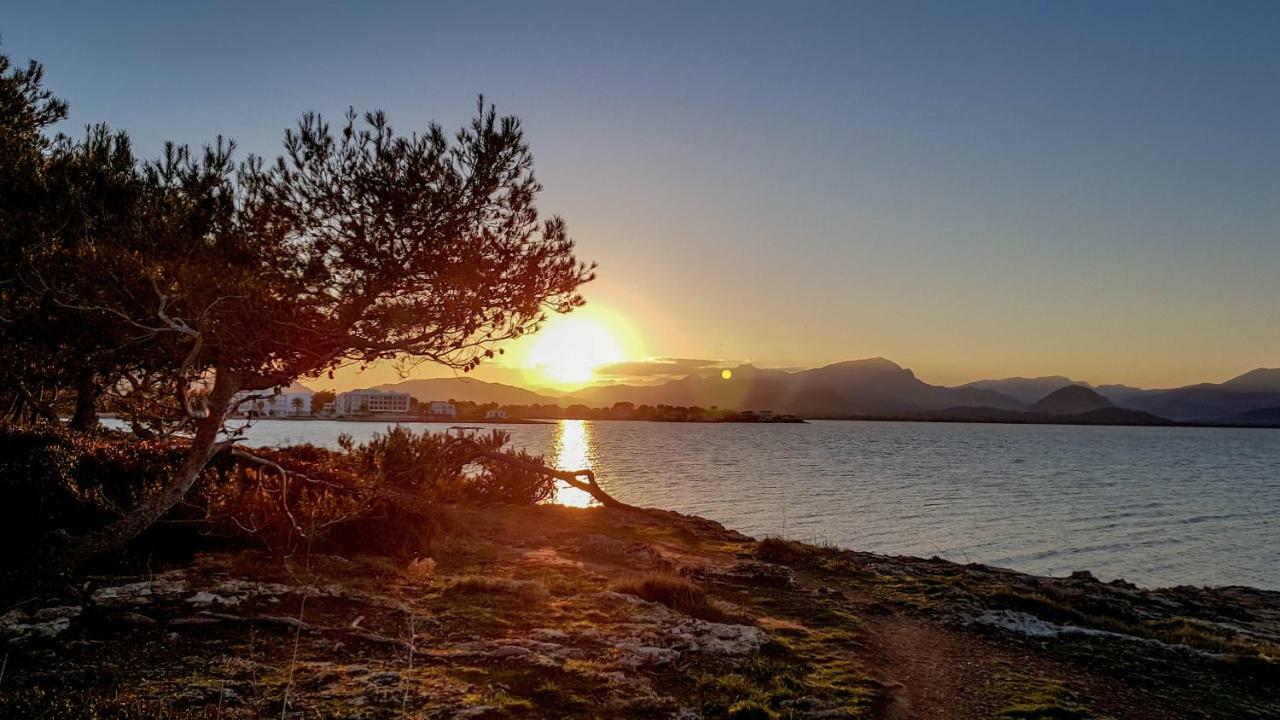 Es Fasser Alcudia (Mallorca)